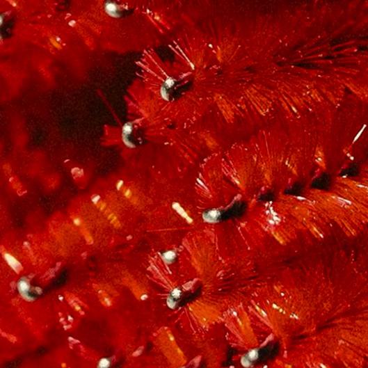 Hybrid Full Set Bundle 